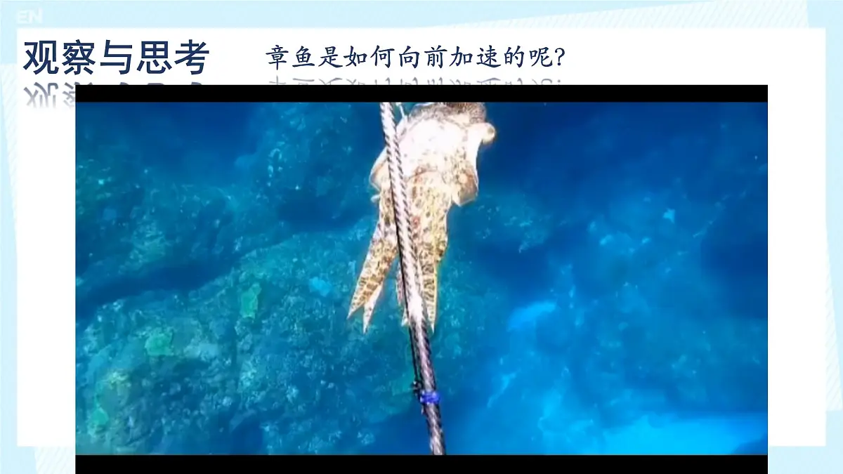 高中 物理 人教版 (2019) 选择性必修 第一册1.6 反冲现象 火箭 课件第2页
