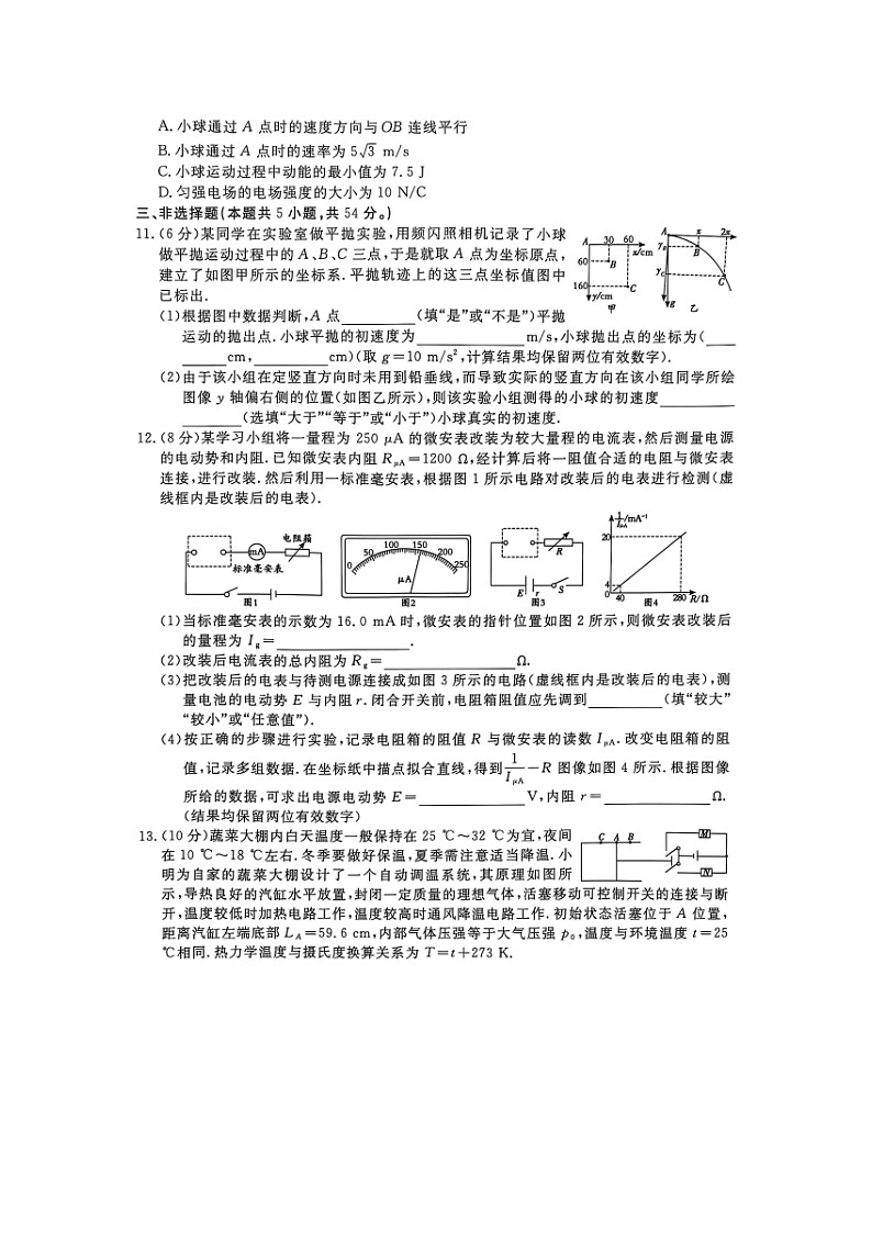 2025届河南省洛阳市高三下5月高考摸底考试（图片版）物理试卷第3页
