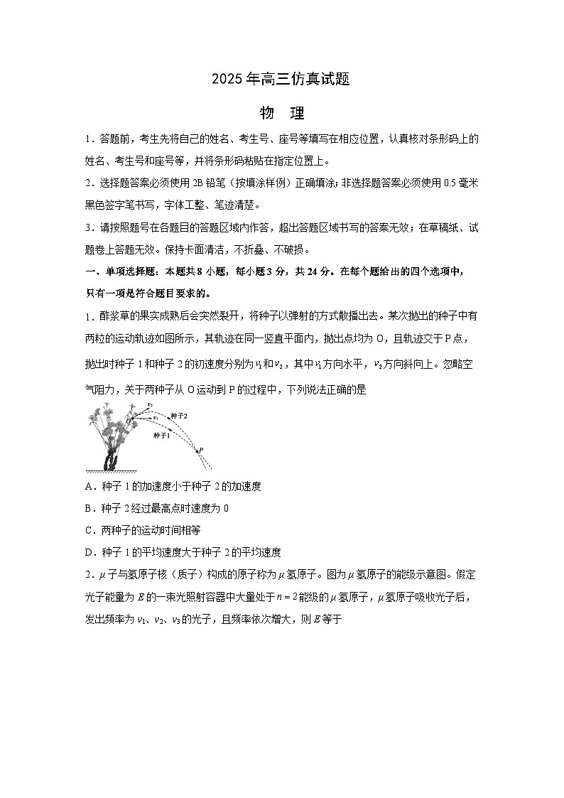 2025届山东省淄博市高三下仿真模拟（三模）物理试卷第1页