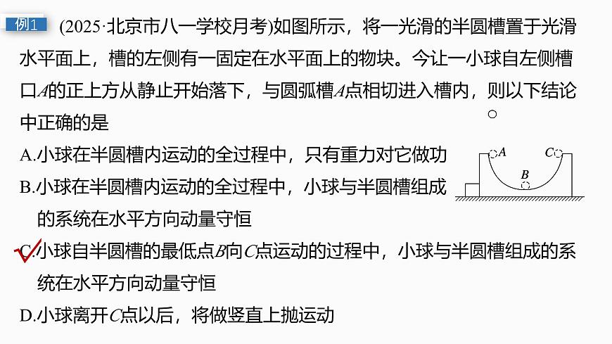 2026高考物理大一轮复习-第七章-第34课时动量守恒定律【课件】第6页