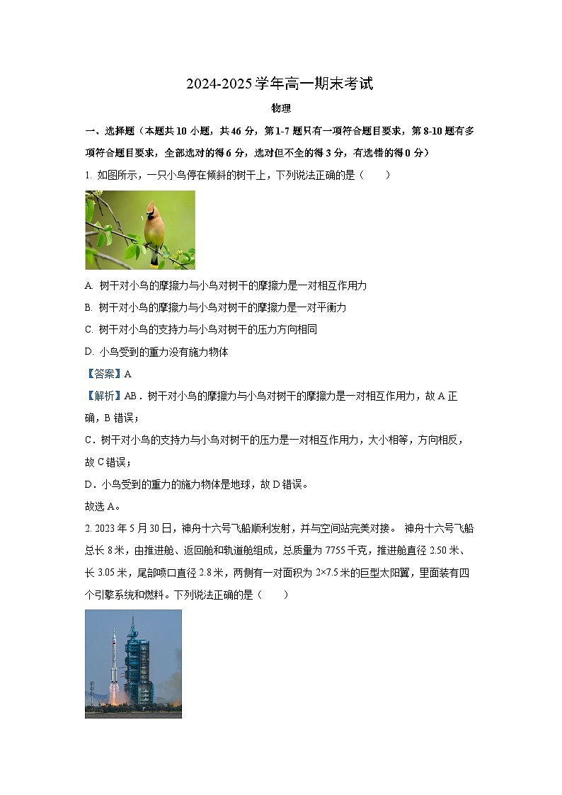 【物理】河北省邢台市2024-2025学年高一上学期1月期末联考试题（解析版）第1页