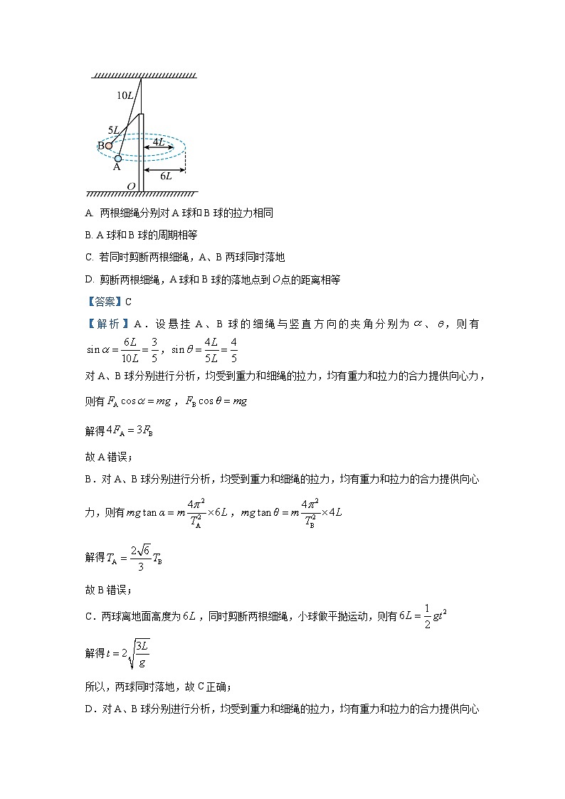 【物理】江西省八所重点中学2024-2025学年高三下学期4月联考试卷（解析版）第2页