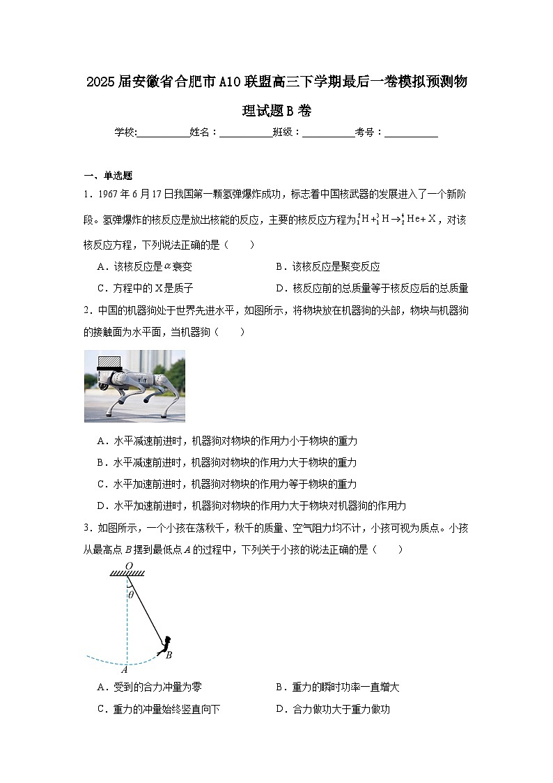 2025届安徽省合肥市A10联盟高三下学期最后一卷模拟预测物理试题B卷（无答案）第1页