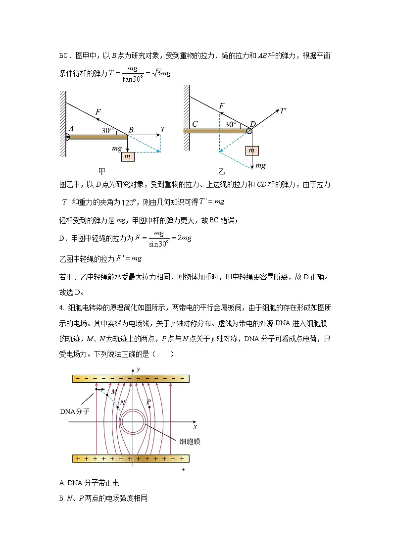 【物理】湖北省荆州市2024-2025学年高一下学期期末考试试卷（解析版）第3页
