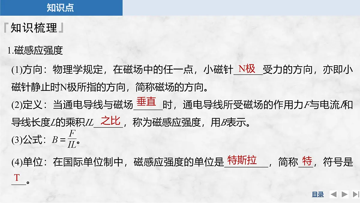 2025-2026学年高中物理粤教版（2019）必修第三册 6.2磁感应强度 课件第8页