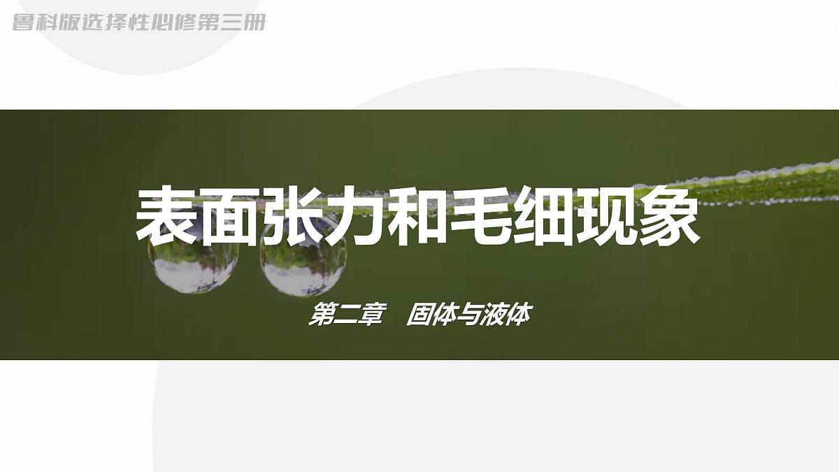 2025-2026学年物理鲁科版（2019）选择性必修第三册 2.2 表面张力和毛细现象  课件第1页