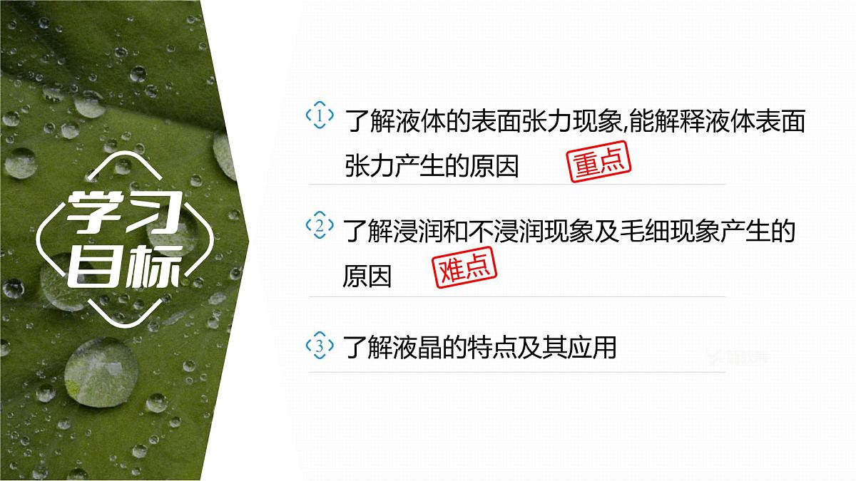 2025-2026学年物理鲁科版（2019）选择性必修第三册 2.2 表面张力和毛细现象  课件第2页