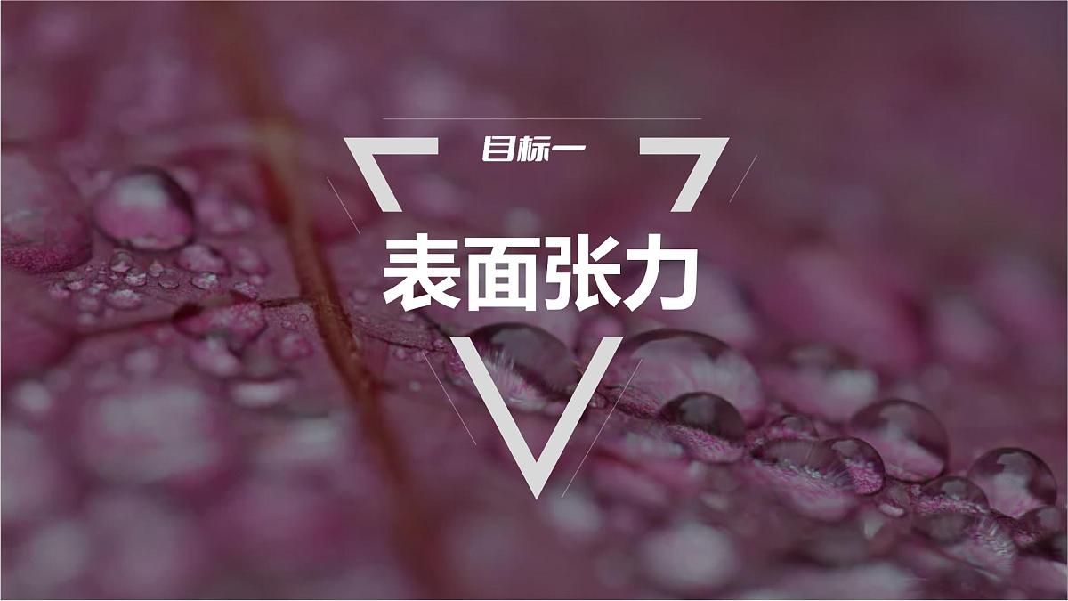 2025-2026学年物理鲁科版（2019）选择性必修第三册 2.2 表面张力和毛细现象  课件第4页