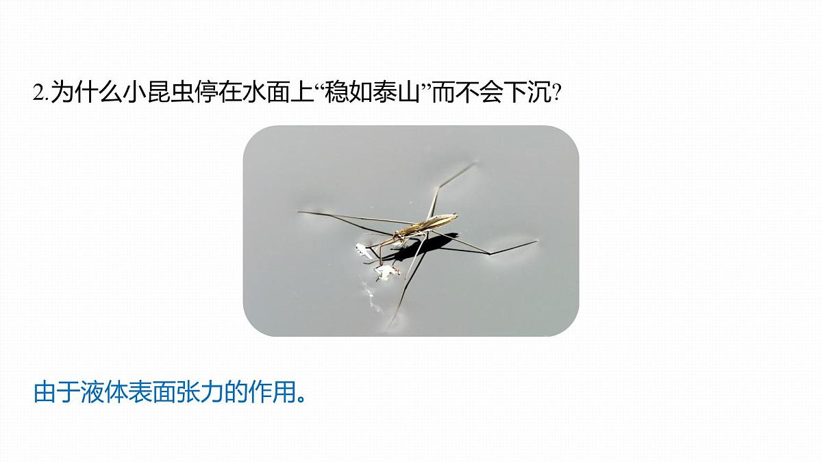 2025-2026学年物理鲁科版（2019）选择性必修第三册 2.2 表面张力和毛细现象  课件第6页