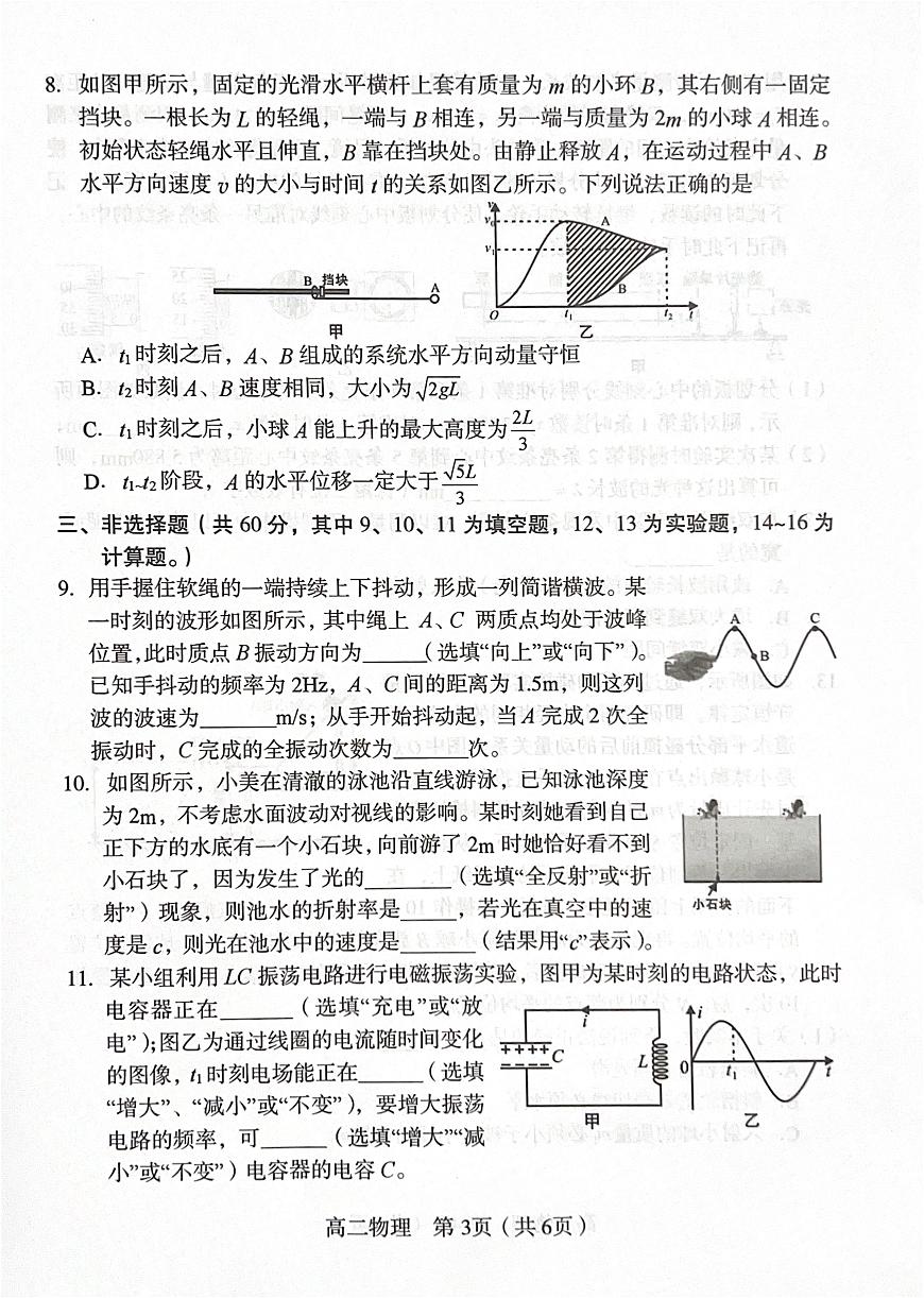 福建省龙岩市2024-2025学年高二下学期期末考试物理试卷（PDF版附答案）第3页