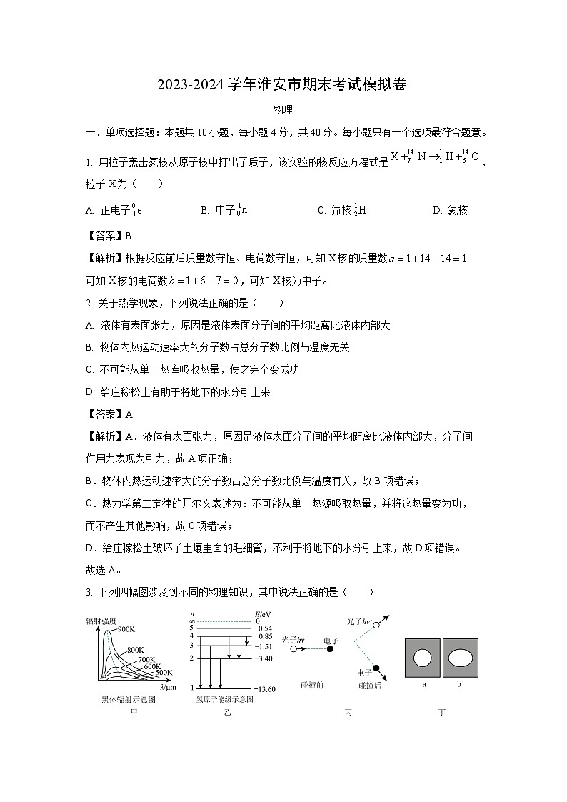 江苏省淮安市2023-2024学年高二下学期期末考试模拟卷 (1)物理试卷（解析版）第1页