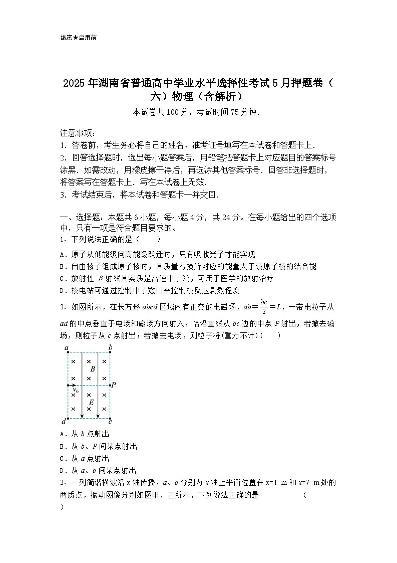 2025年湖南省普通高中学业水平选择性考试5月押题卷（六）物理（含解析）第1页
