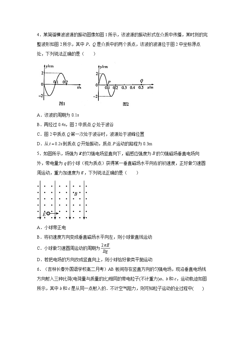 2025届湖南省岳阳市高三下学期5月底信息练习A卷物理试卷（解析版）第2页