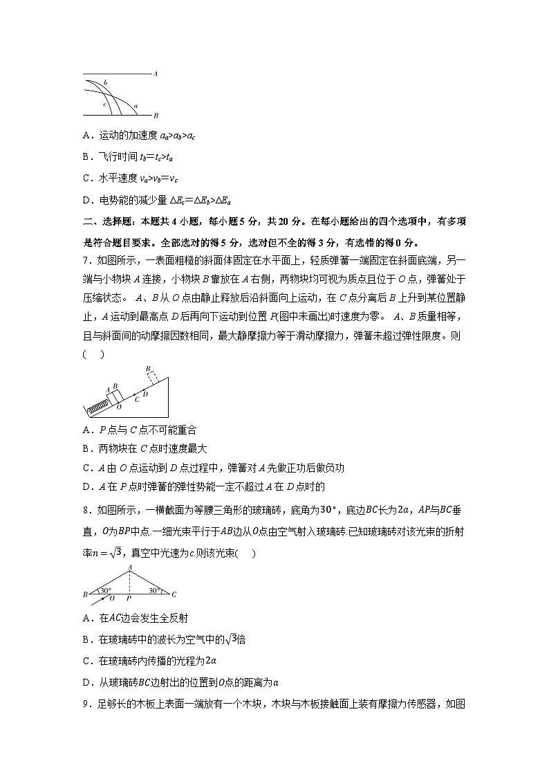 2025届湖南省岳阳市高三下学期5月底信息练习A卷物理试卷（解析版）第3页