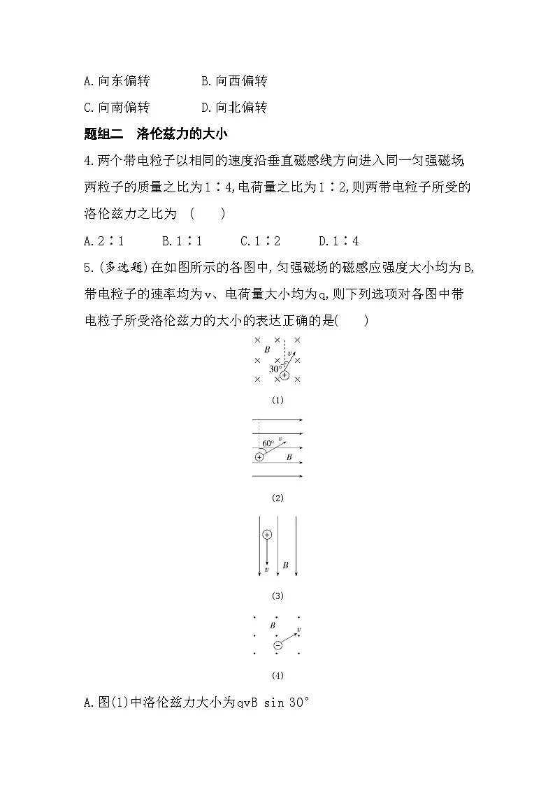 1.3洛伦兹力-分层训练（含答案解析）-教科版高中物理高二上学期（选必二）第2页