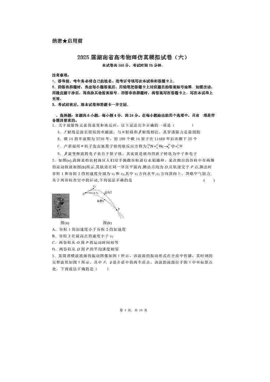2025届湖南省高考物理仿真模拟试卷（六）第1页