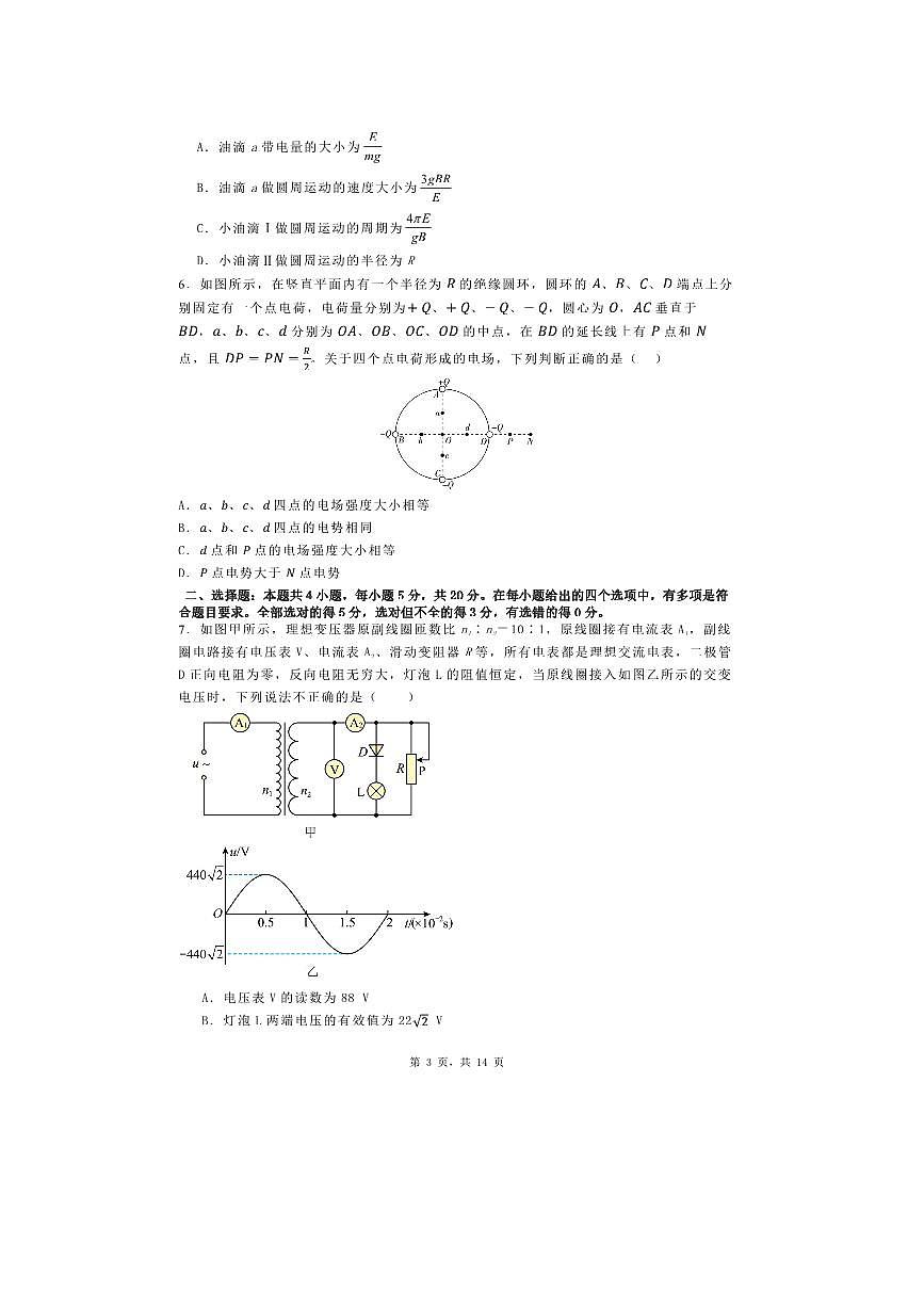 2025届湖南省高考物理仿真模拟试卷（四）第3页