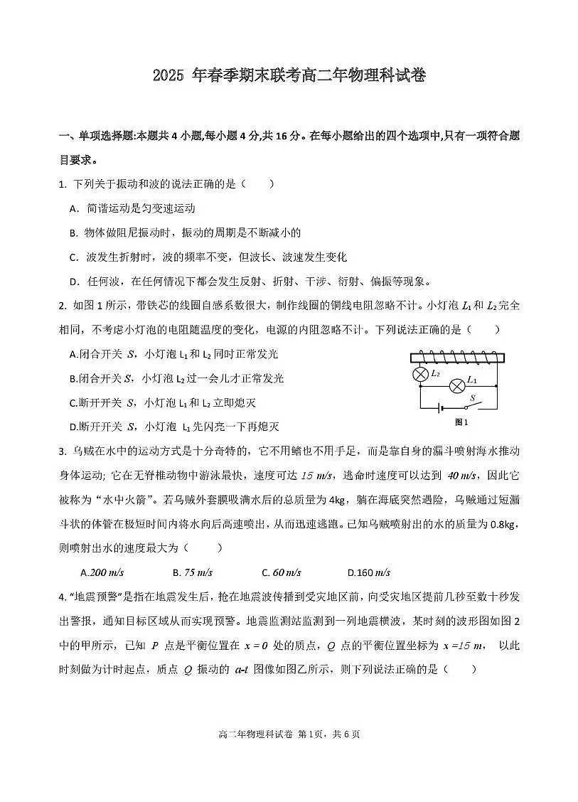 福建省泉州市十校2024-2025学年高二下学期期末考试物理试题（PDF版附解析）第1页
