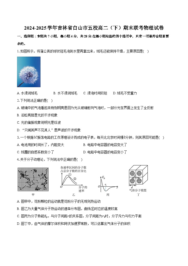 2024-2025学年吉林省白山市五校高二（下）期末联考物理试卷（含解析）第1页