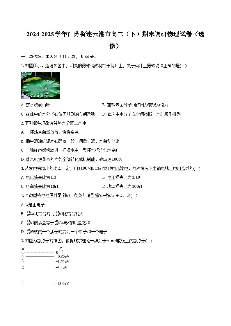 2024-2025学年江苏省连云港市高二（下）期末调研物理试卷（选修）（含解析）第1页