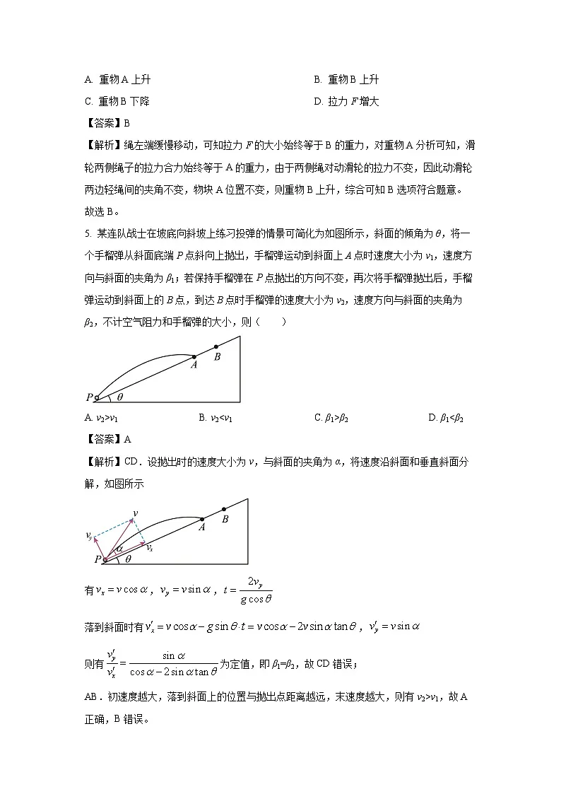 河南省周口市2024-2025学年高二下学期6月期末物理试题（解析版）第3页