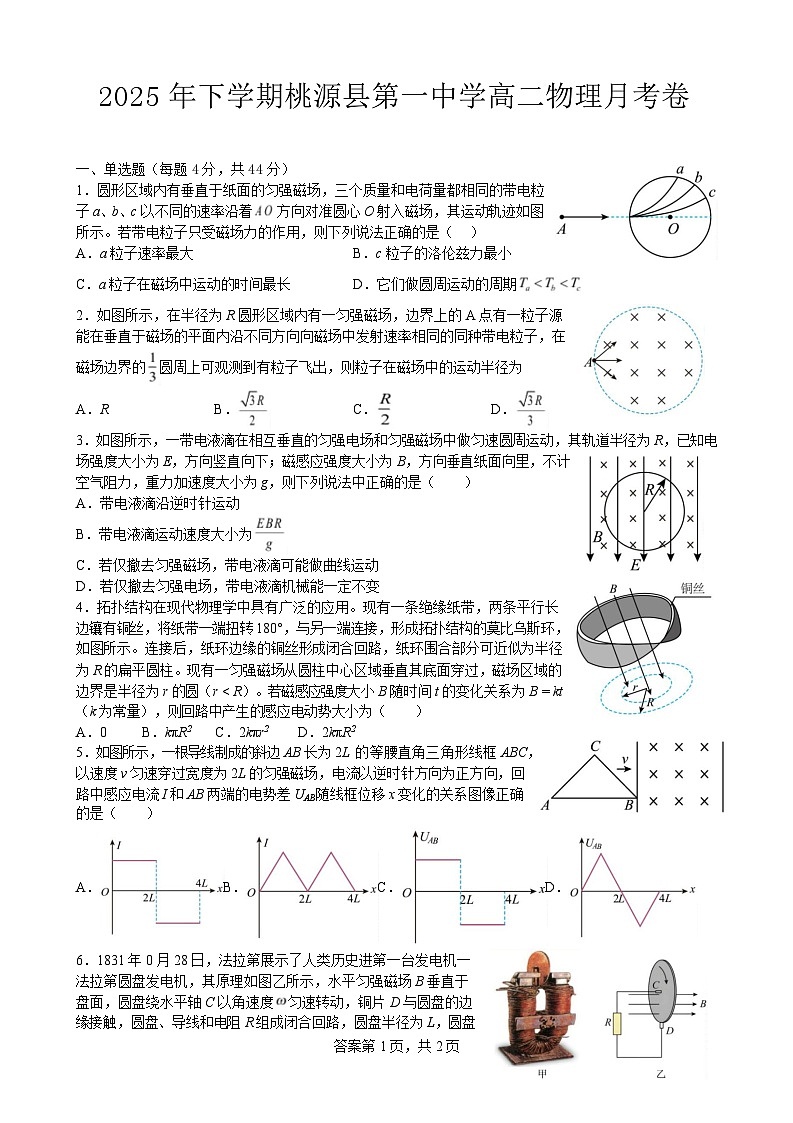 湖南省常德市桃源县第一中学2024-2025学年高二下学期月考物理试题（含解析）第1页