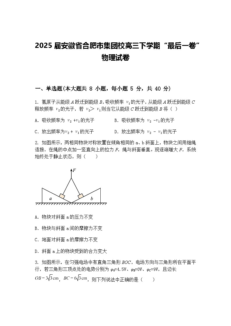 2025届安徽省合肥市集团校高三下学期“最后一卷” 物理试卷（含答案解析）第1页