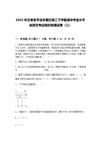 2025年甘肃省平凉市某校高三下学期高中学业水平选择性考试模拟物理试卷（三）（含答案解析）