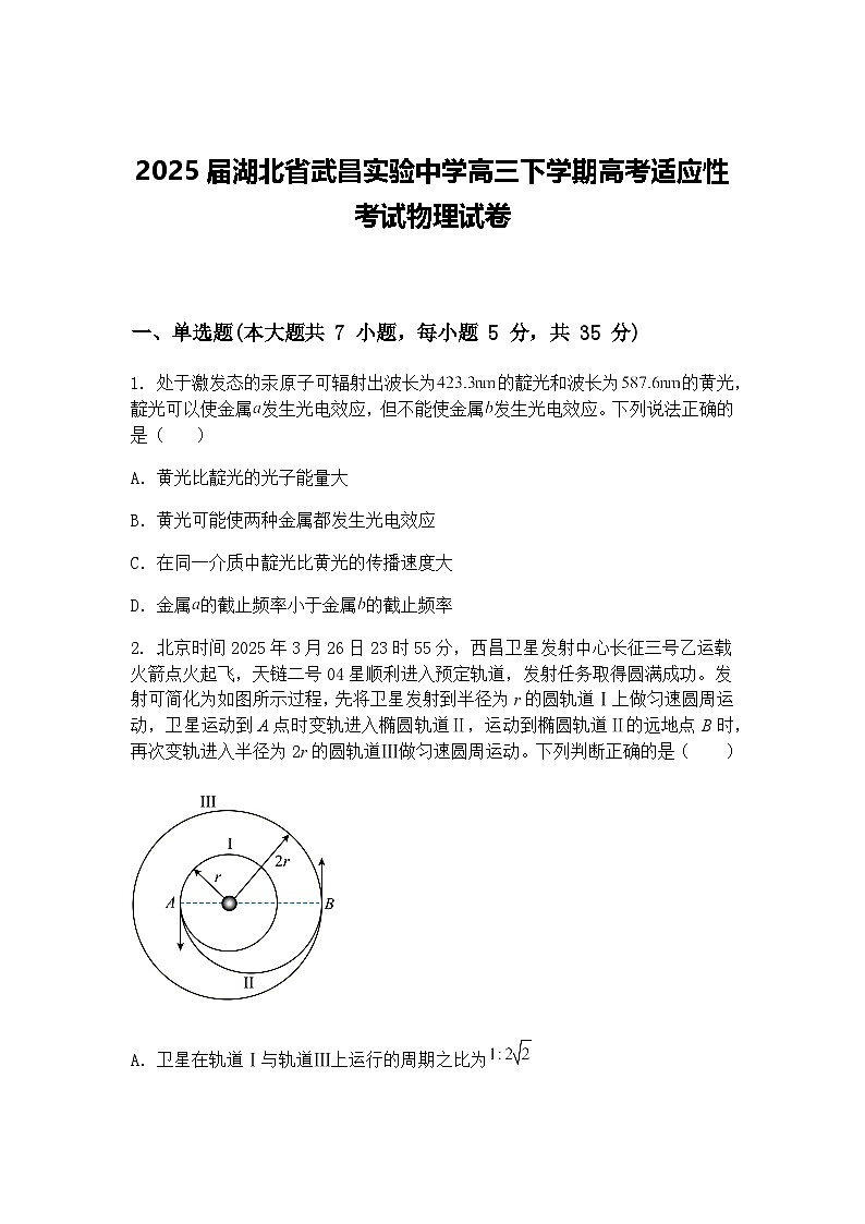 2025届湖北省武昌实验中学高三下学期高考适应性考试物理试卷（含答案解析）第1页