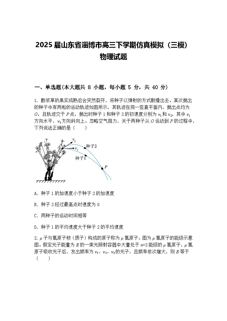 2025届山东省淄博市高三下学期仿真模拟（三模）物理试题（含答案解析）第1页