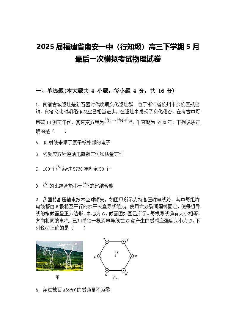 2025届福建省南安一中（行知级）高三下学期5月最后一次模拟考试物理试卷（含答案解析）第1页