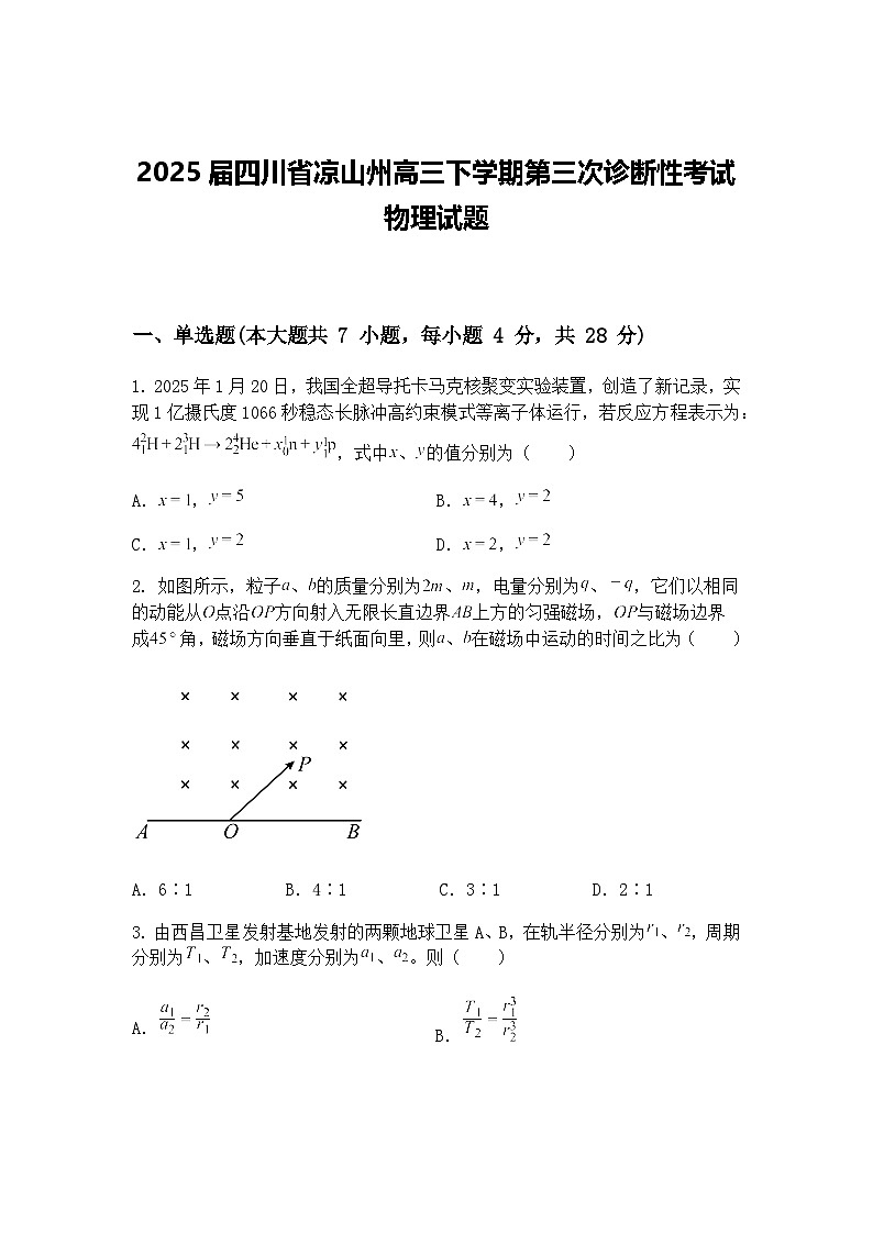 2025届四川省凉山州高三下学期第三次诊断性考试物理试题（含答案解析）第1页