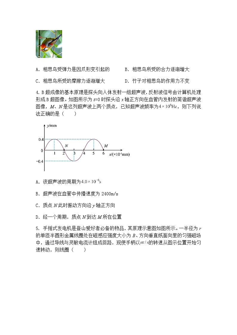 2025届河北省秦皇岛市山海关区高三下学期第三次模拟考试物理试卷（含答案解析）第2页