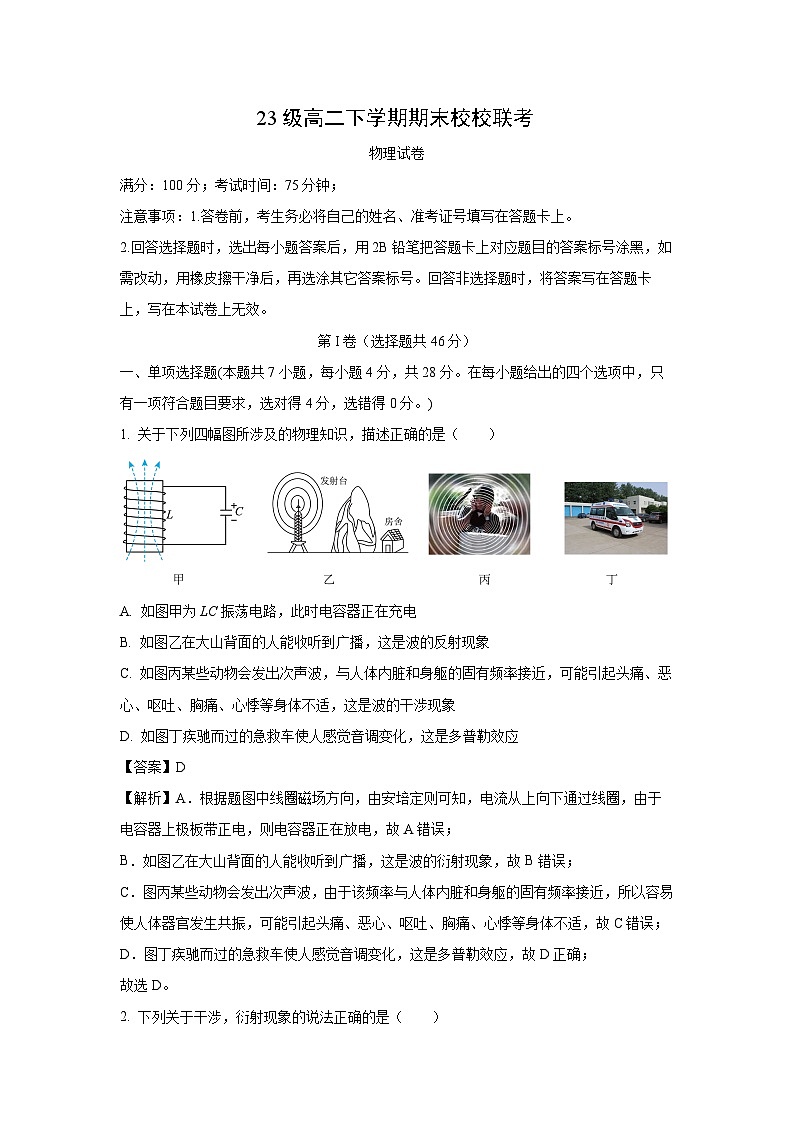 四川省眉山市仁寿县多校2024-2025学年高二下学期6月期末物理试题（解析版）第1页