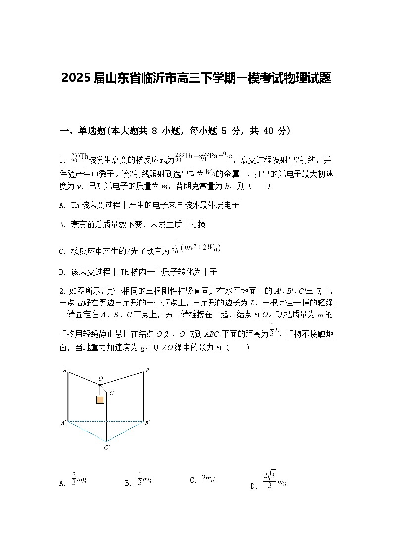 2025届山东省临沂市高三下学期一模考试物理试题（含答案解析）第1页