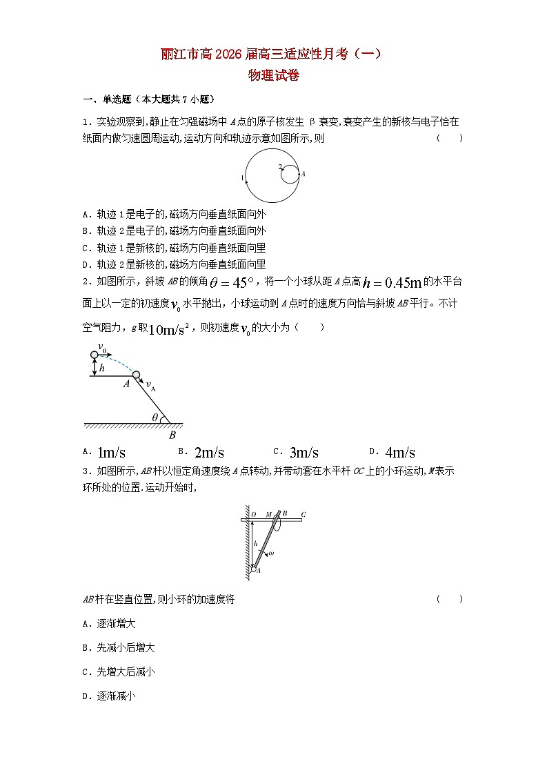 云南省丽江市2026届高三物理上学期适应性月考一含解析第1页