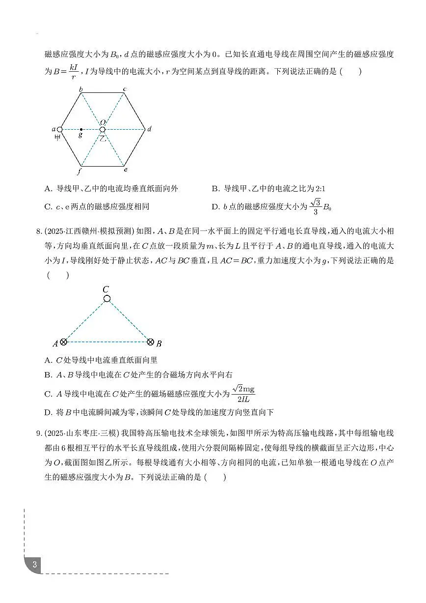 磁场及其对电流的作用-【精练】（学生版）第3页