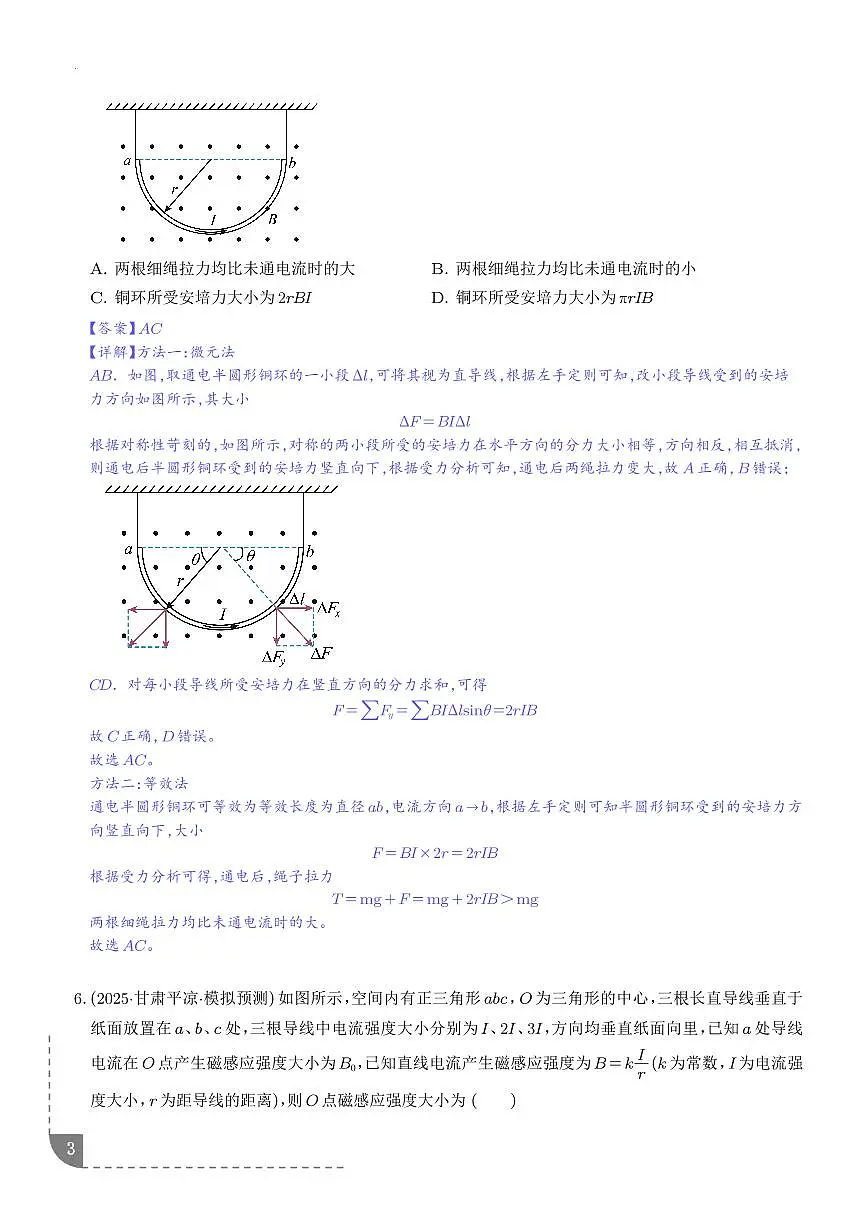 磁场及其对电流的作用-【精练】（解析版）第3页