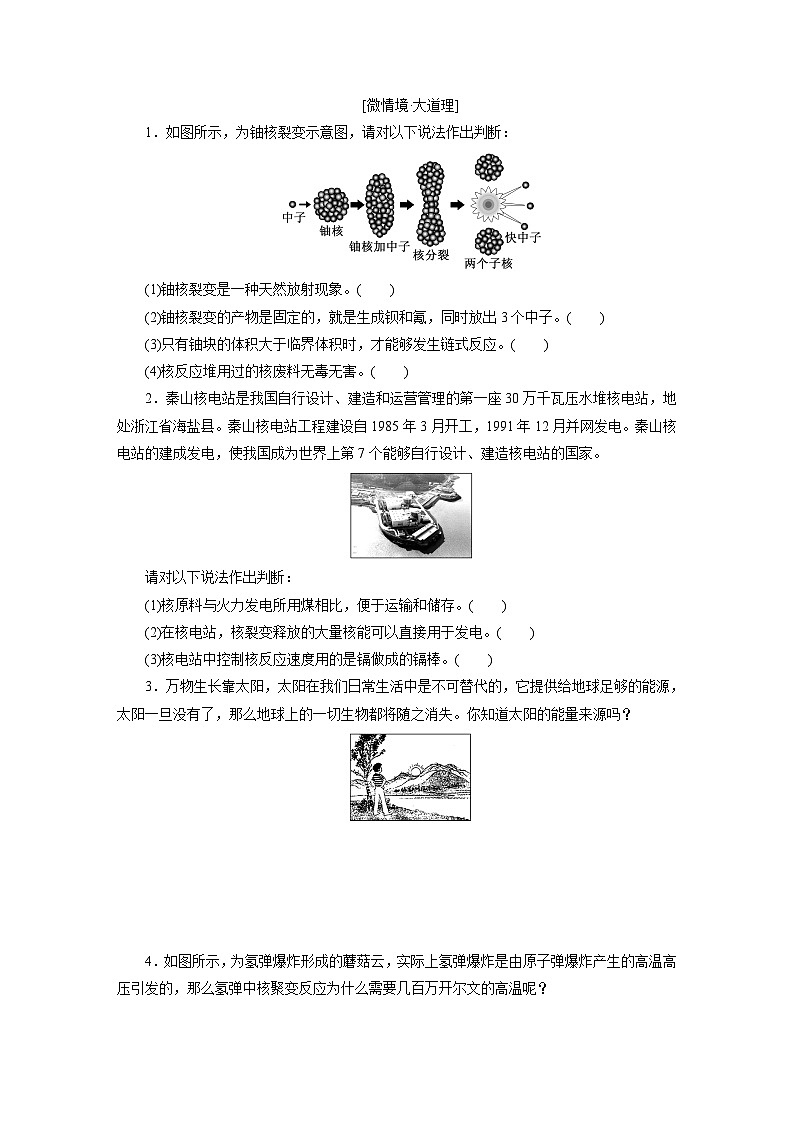 2025-2026学年高中物理人教版（2019）选择性必修第三册 第5章 第4、5节 核裂变与核聚变 “基本”粒子 学案第3页