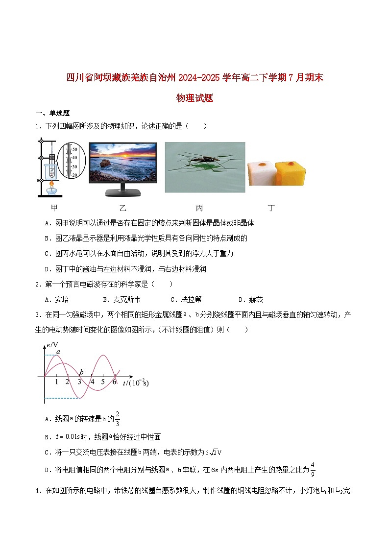 四川省阿坝藏族羌族自治州2024_2025学年高二物理下学期期末考试第1页