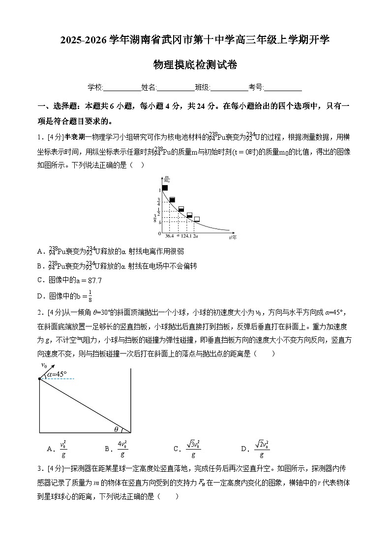 2025-2026学年湖南省武冈市第十中学高三上学期开学摸底检测物理试卷（解析版）第1页