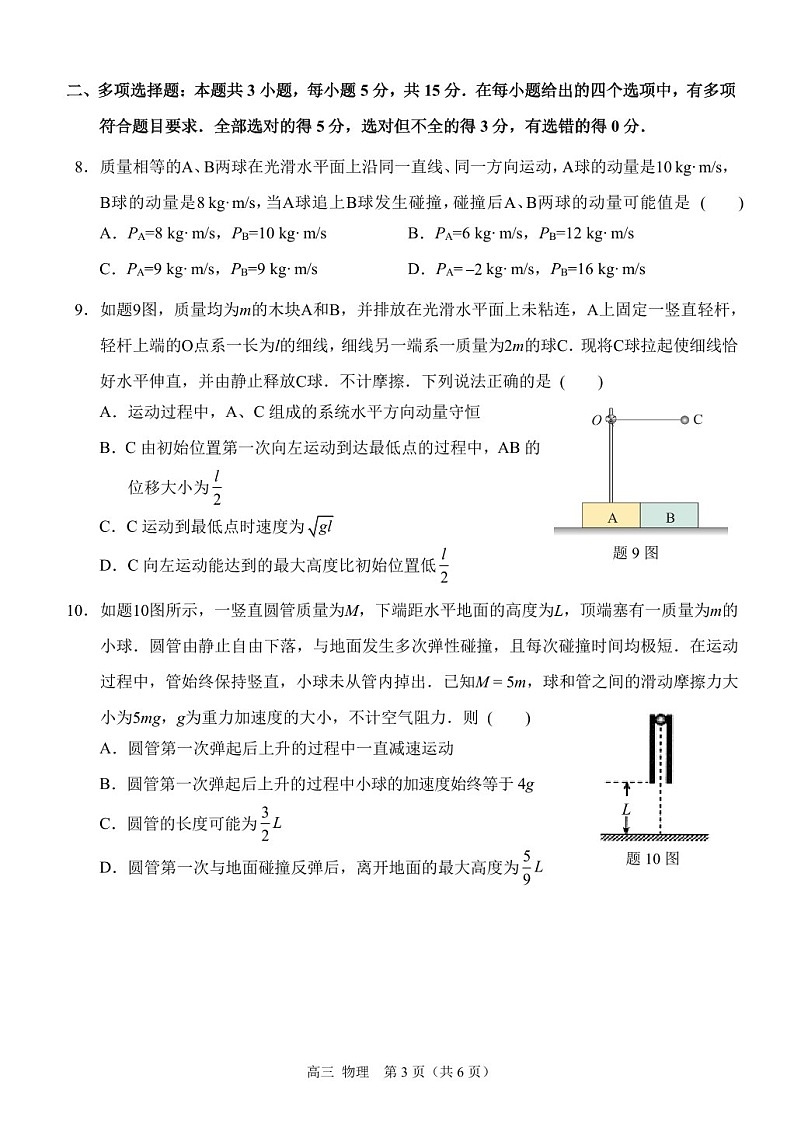 2025届重庆市西南大附中高三下学期11月阶段检测-物理试卷（含答案）第3页