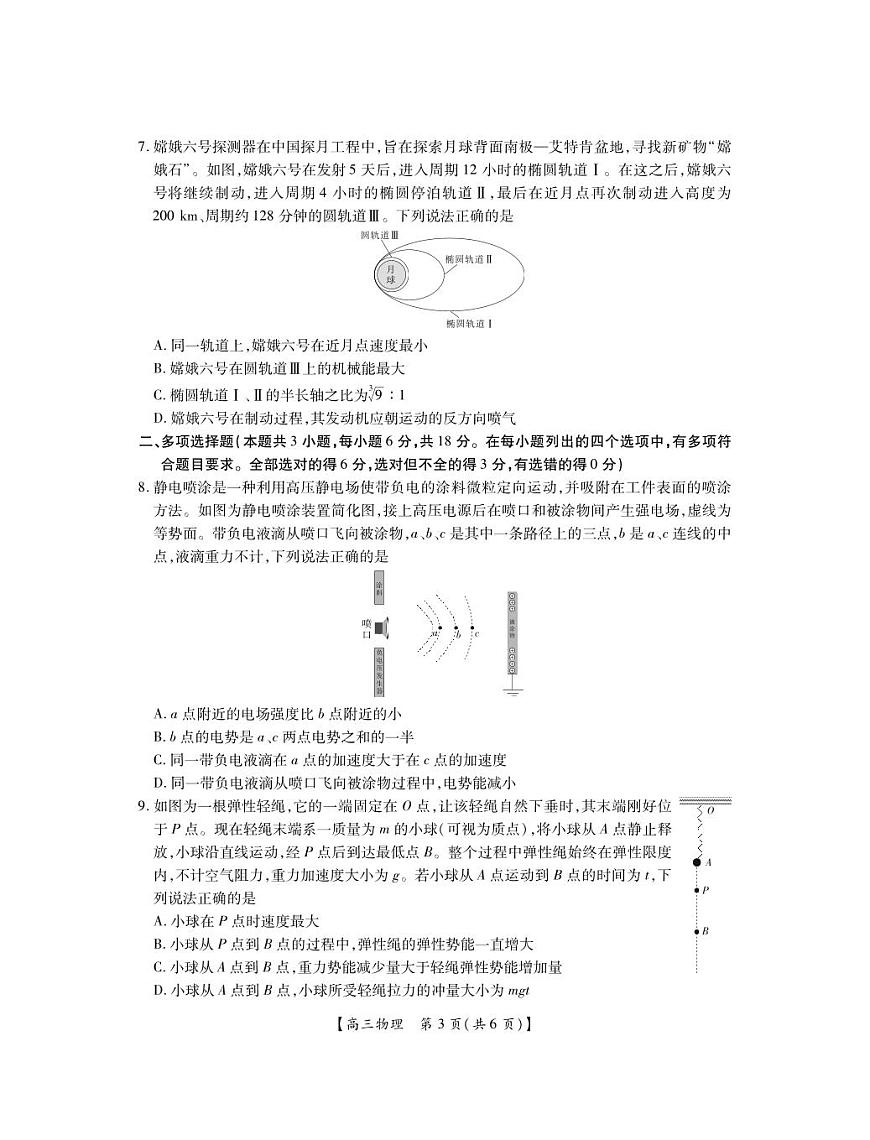 2025届湛江市普通高中高三10月调研测试物理试卷+答案第3页