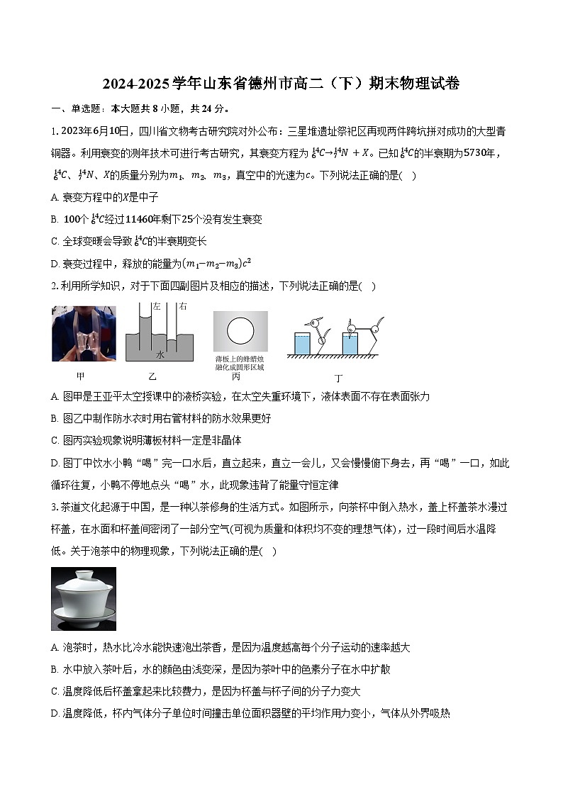 2024-2025学年山东省德州市高二（下）期末物理试卷（7月）（含解析）第1页