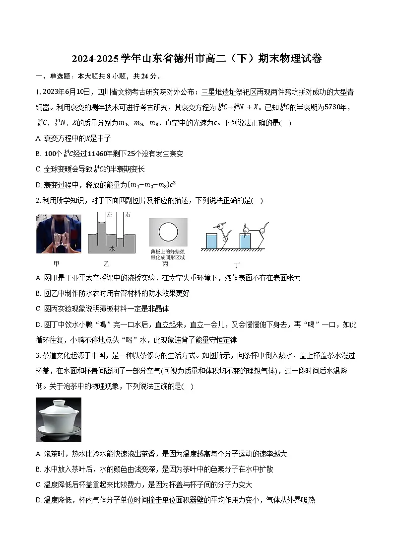 2024-2025学年山东省德州市高二（下）期末物理试卷（7月）（含答案）第1页