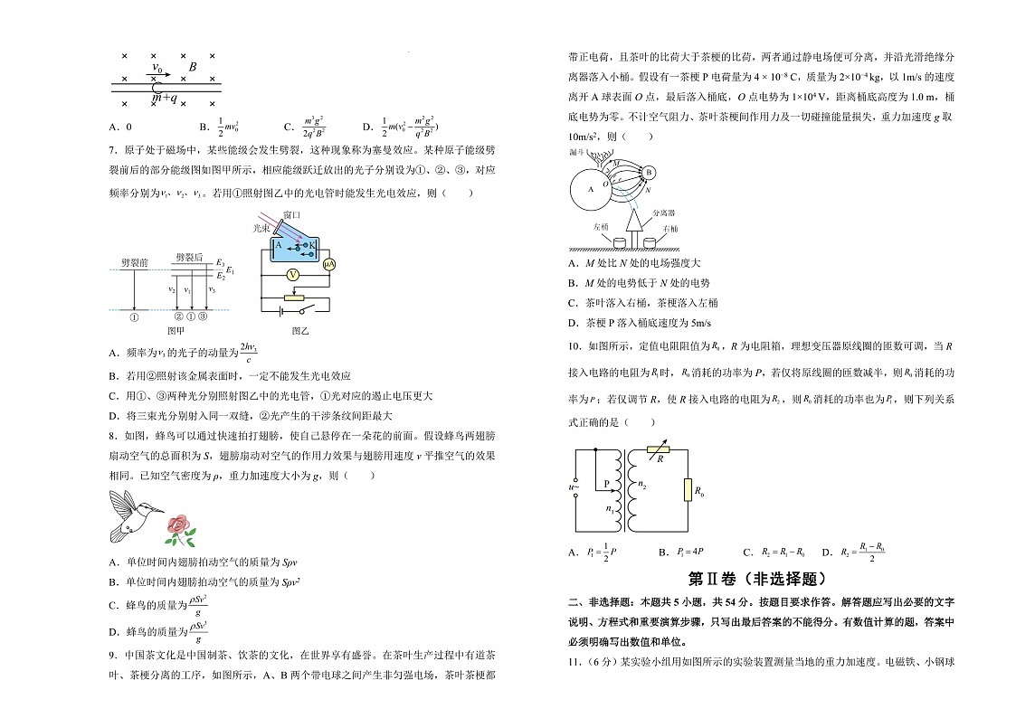 湖南省衡阳市衡阳县第四中学2025届高三上学期1月期末考试-物理试卷（含答案）第2页