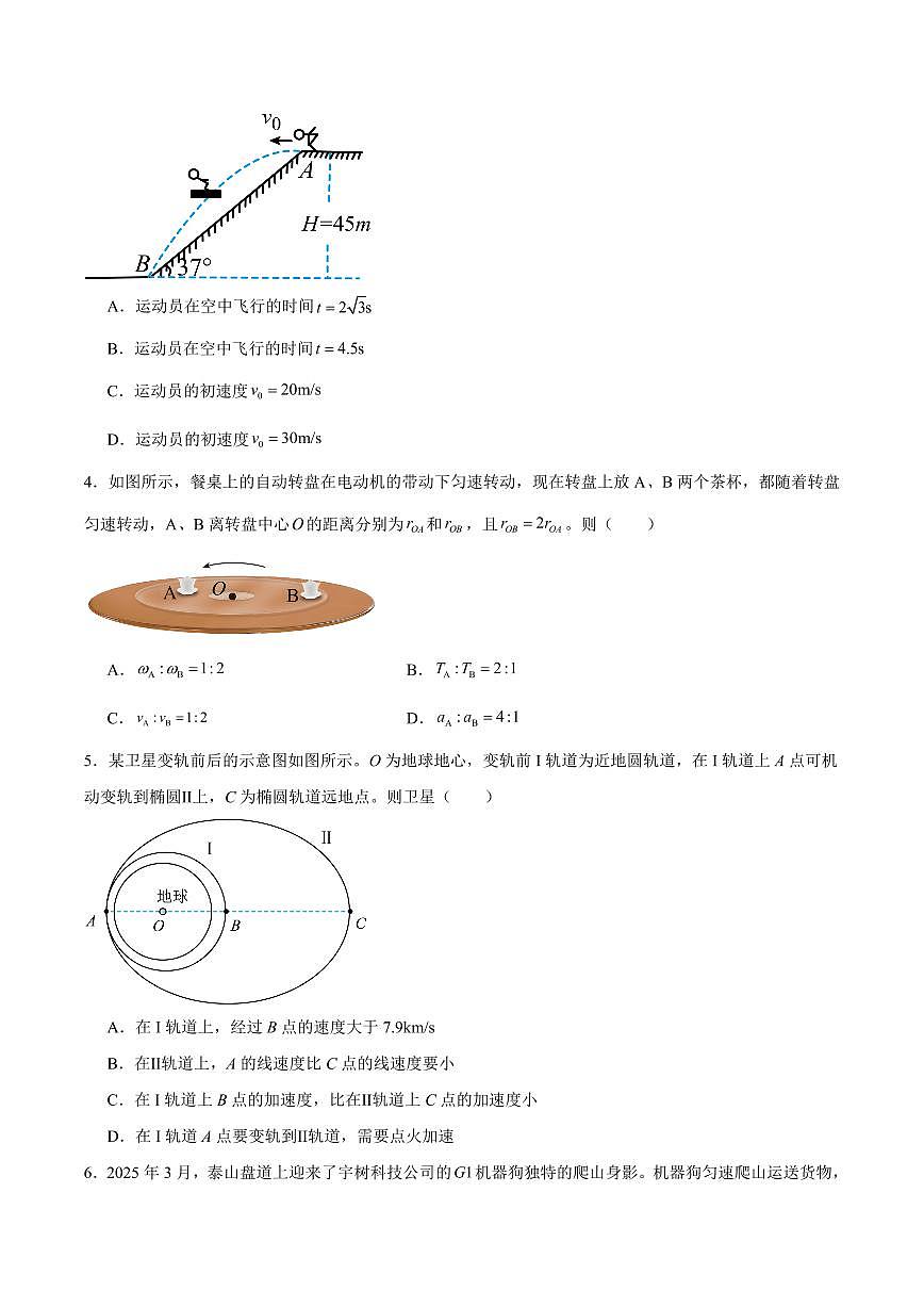 湖南省郴州市2024-2025学年高一下学期期末教学质量监测物理（选择考）试卷（含解析）第2页
