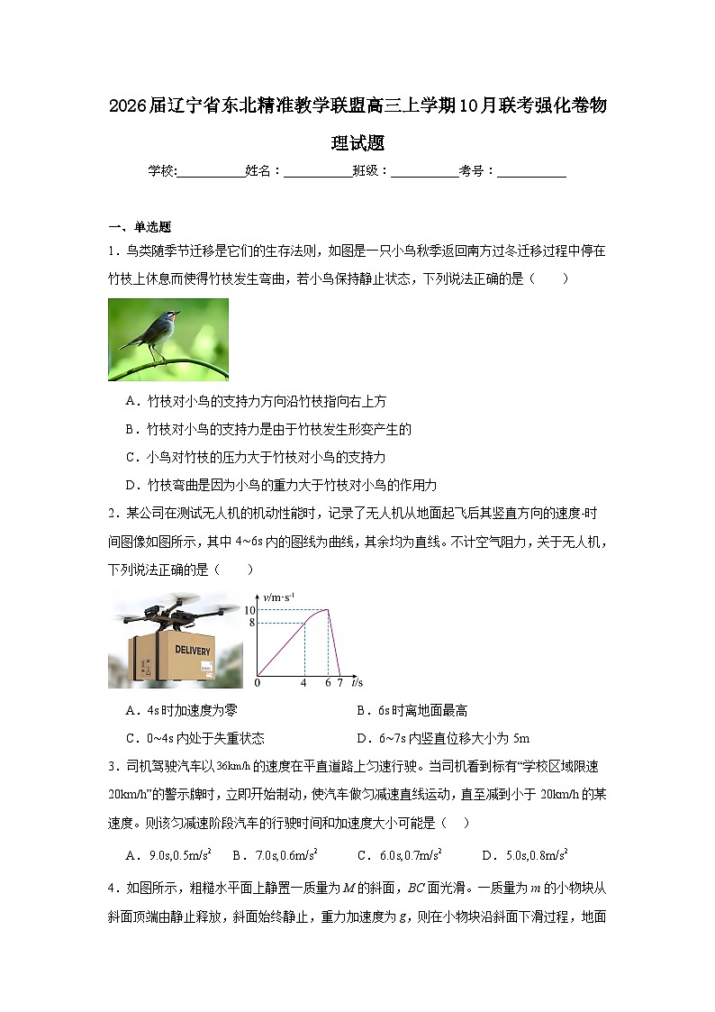 2025-2026学年辽宁省东北精准教学联盟高三上学期10月联考强化卷物理试题（无答案）第1页