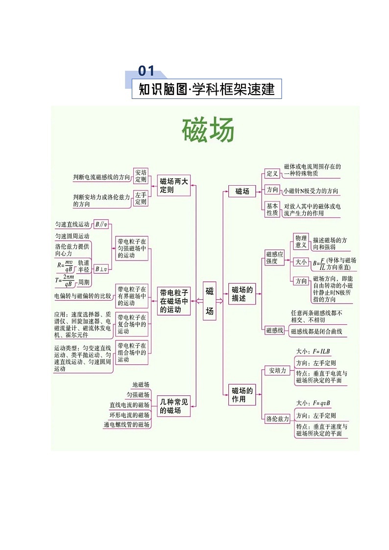 专题12 磁场（考点归纳）（全国通用）（解析版）第2页