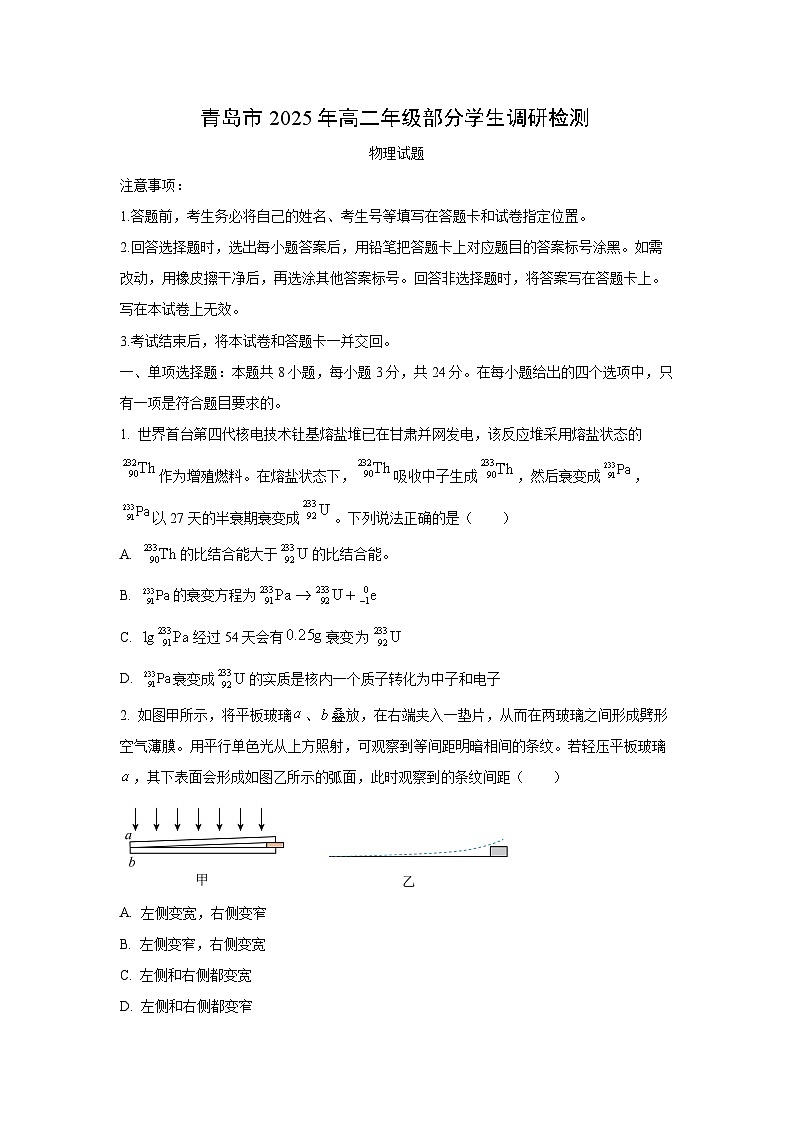 山东省青岛市2024-2025学年高二下学期5月部分学生调研物理试题（学生版）第1页